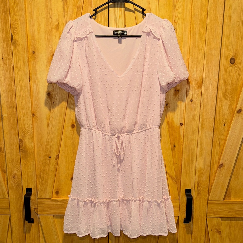 Crystal Doll Blush Pink Textured Mini Dress